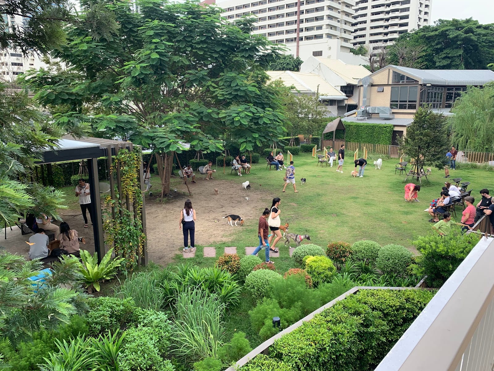 The open-air dog park at Trail and Tail, Sukhumvit 39